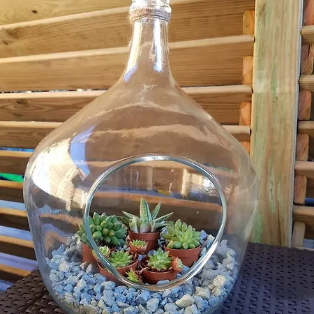 Apartament Bleu Azur Piscine Chauffee