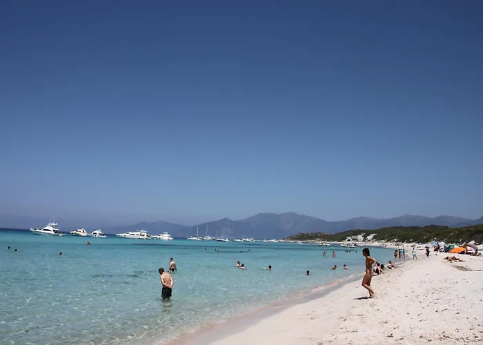 Daire Bleu Azur Piscine Chauffee *